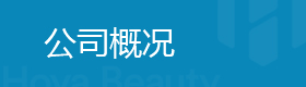 公司概况